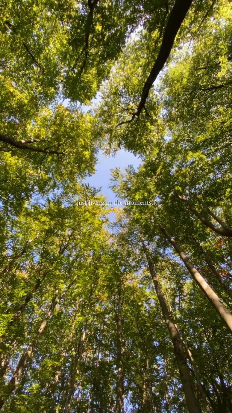 nature aesthetic