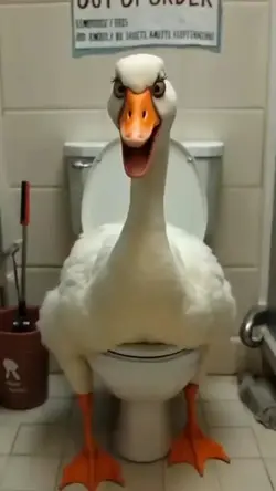 funny duck meme