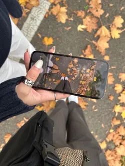 🍁🍂