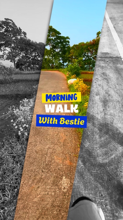 Morning walk
