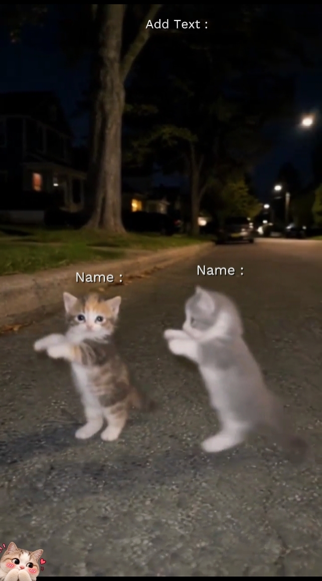 Tendencia del gato de baile 