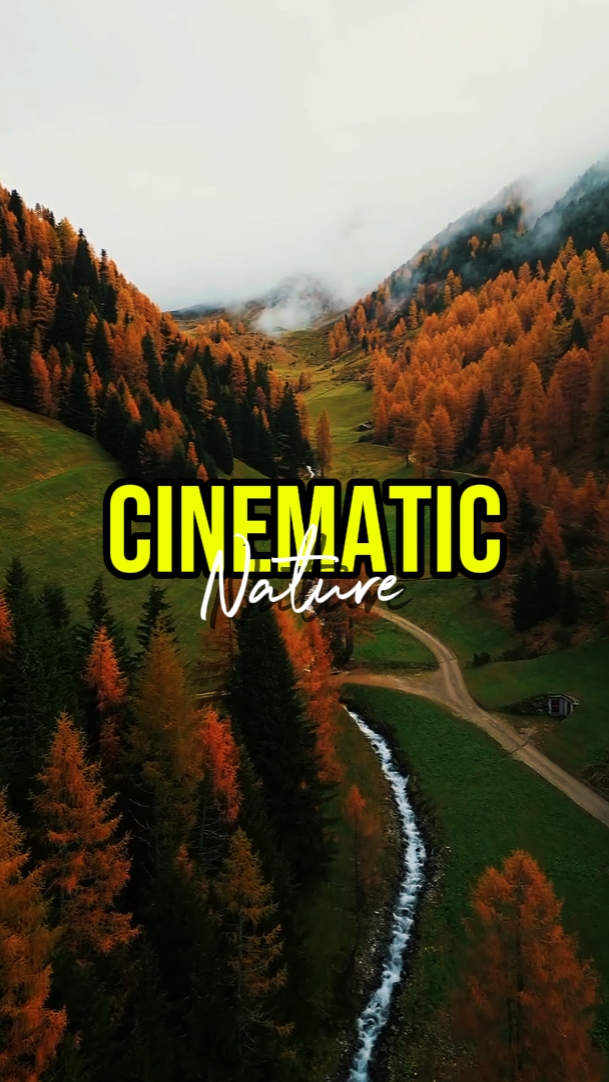 CINEMATIC NATURE
