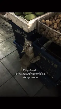 เอาที่ทุกคนสบายใจ