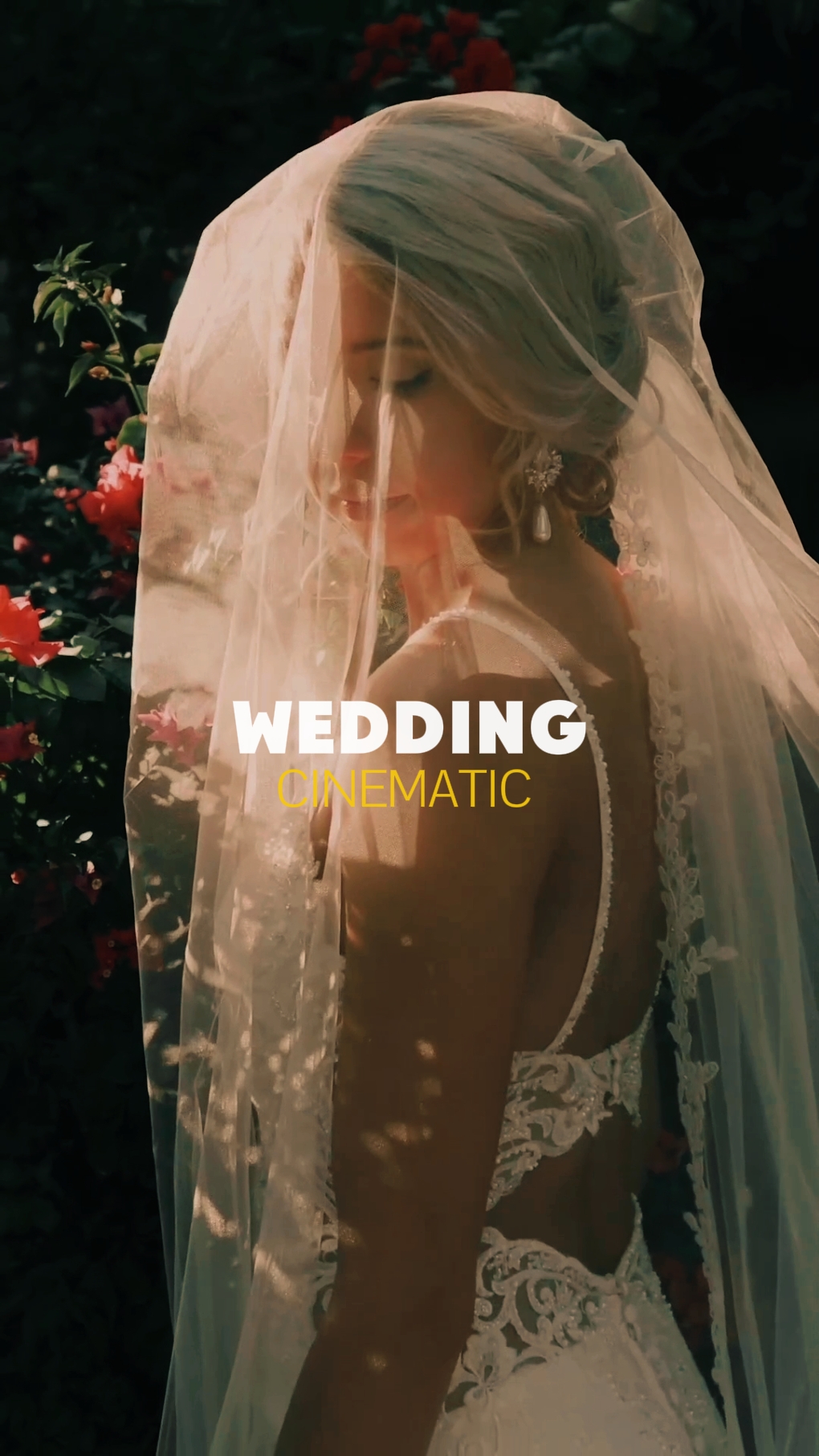 Cinema de casamento 