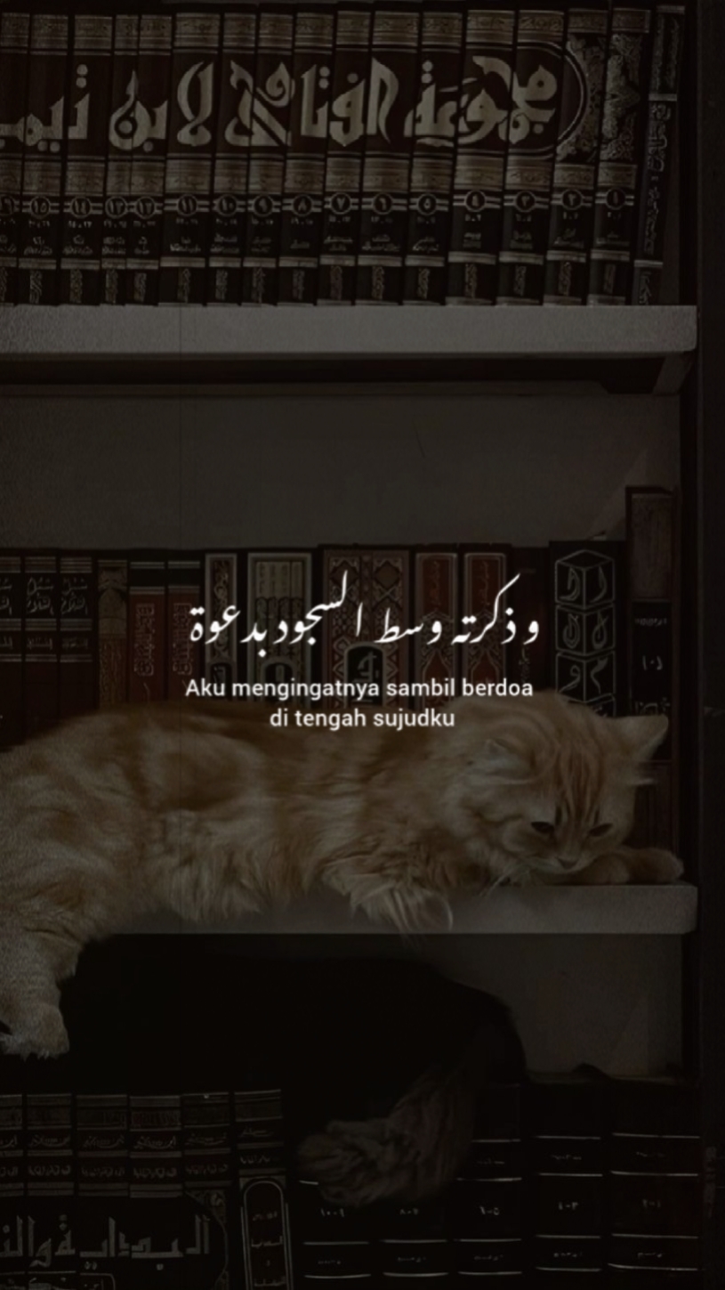 syair arab