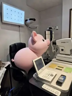 꿀꿀이와깡총이