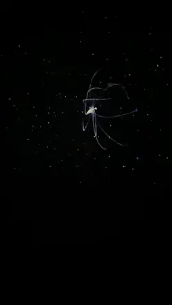 Âme brisée