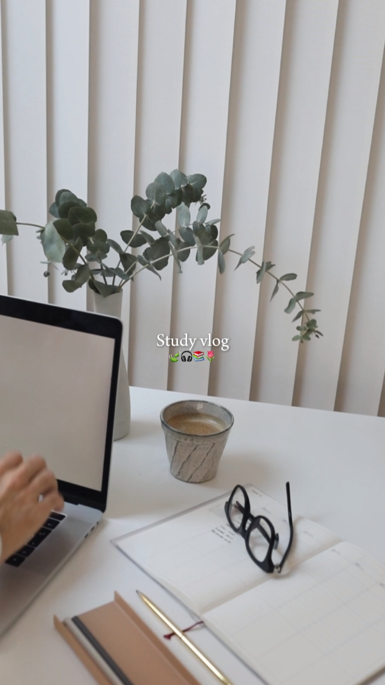study vlog