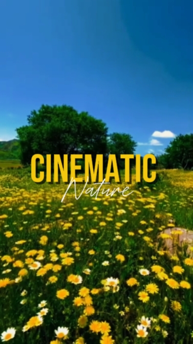 Cinematográfico 