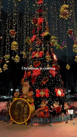 Christmas is coming❤️