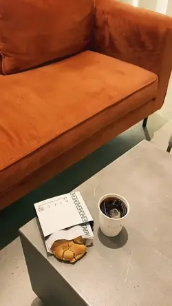 minivlog 