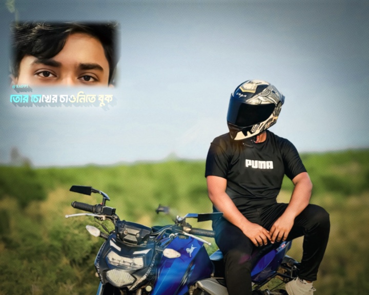 Cover Picture
