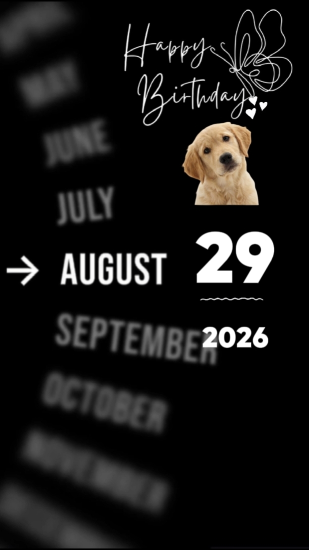 HBD 개