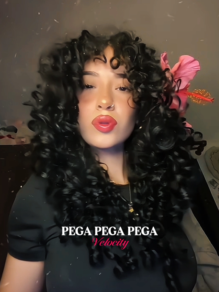 VELOCIDAD DE PEGA PEGA 