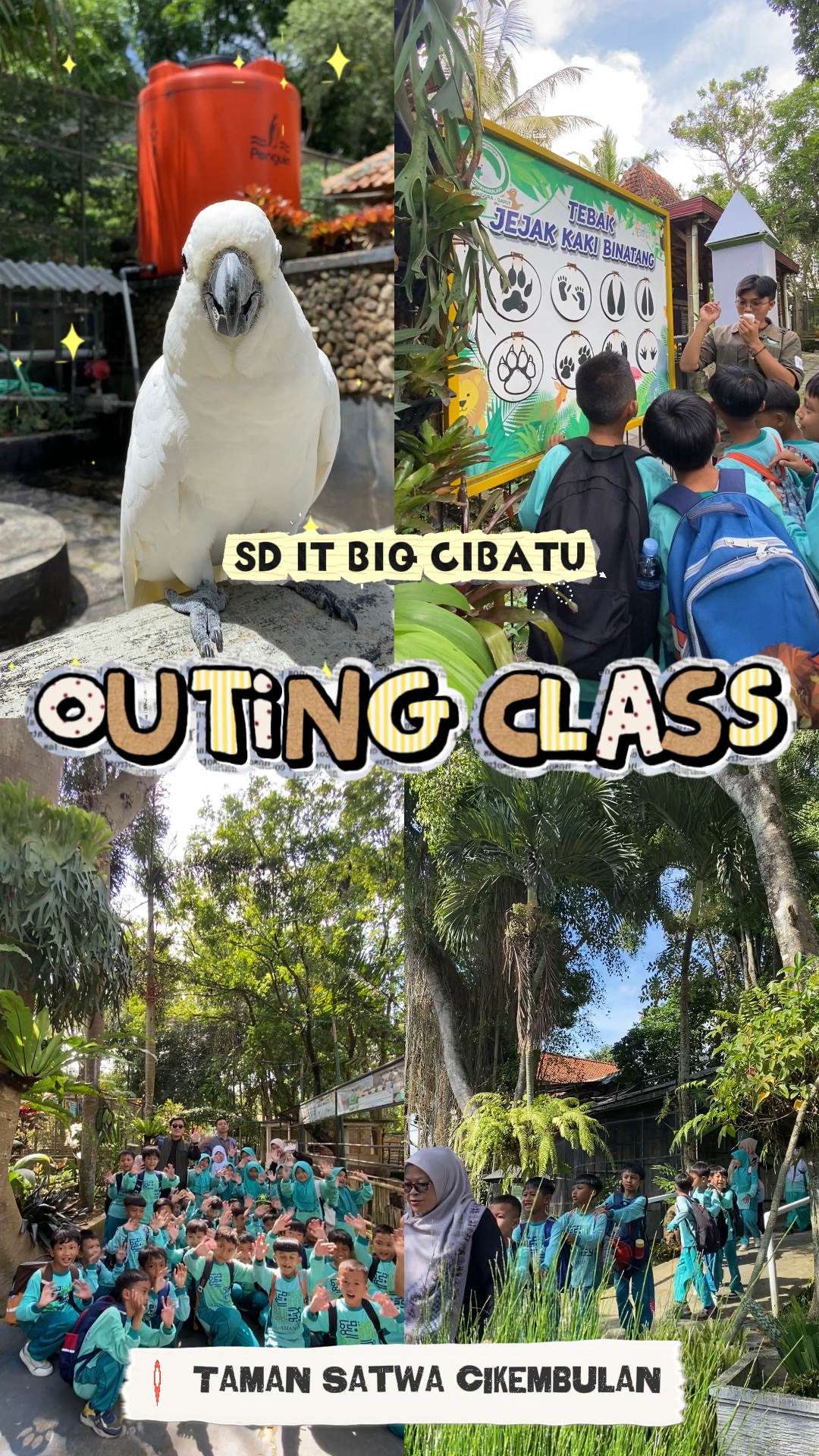 Outing class SD