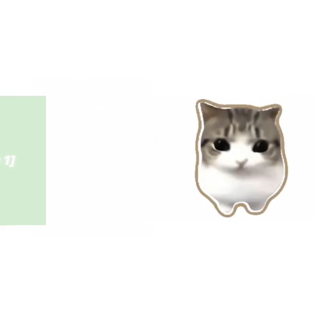 photo tendance chat