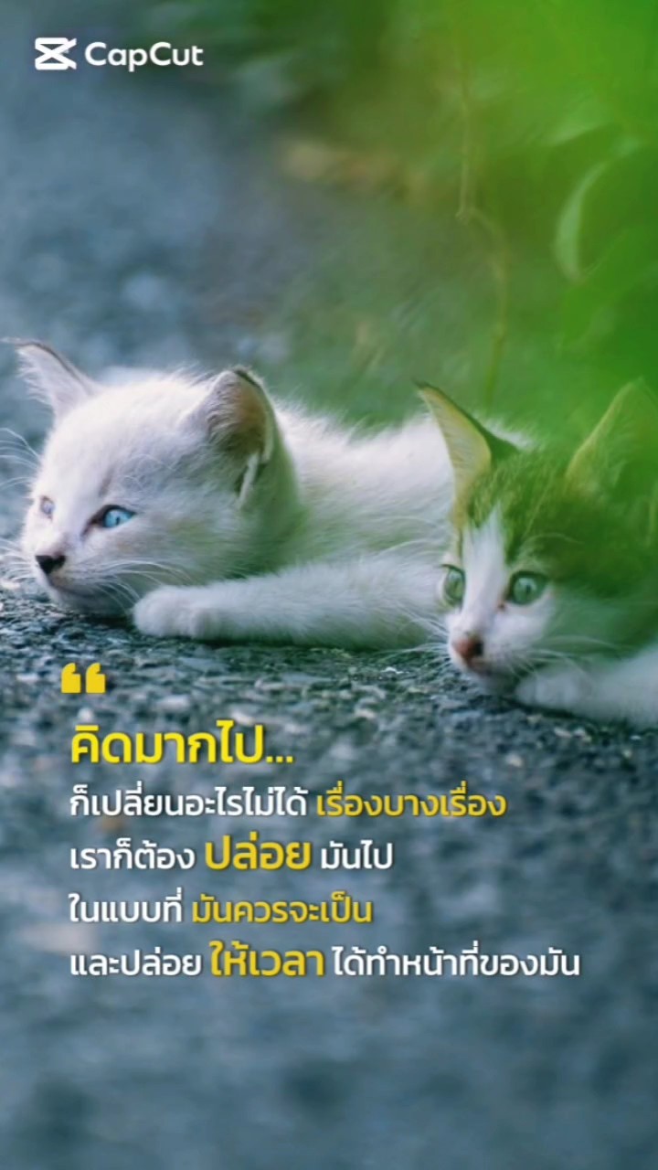 คิดมากไป