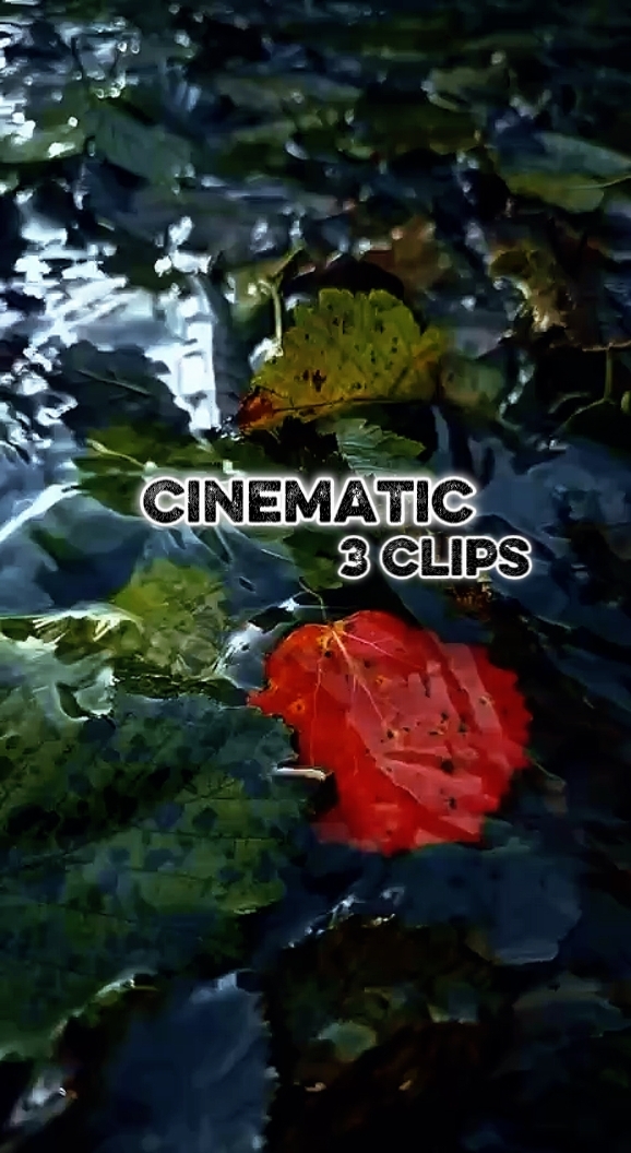 3 vidéos