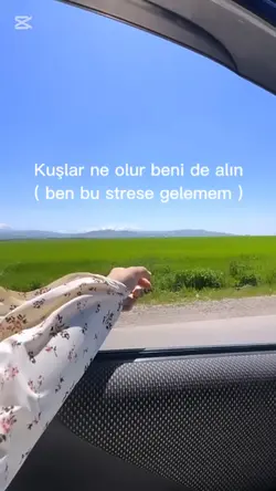 kuşlar  beni de alin
