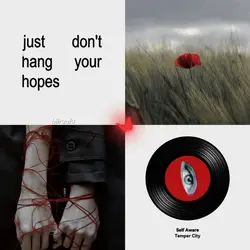 Self Aware 