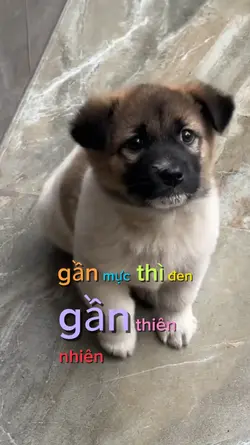 gần mực thì đen