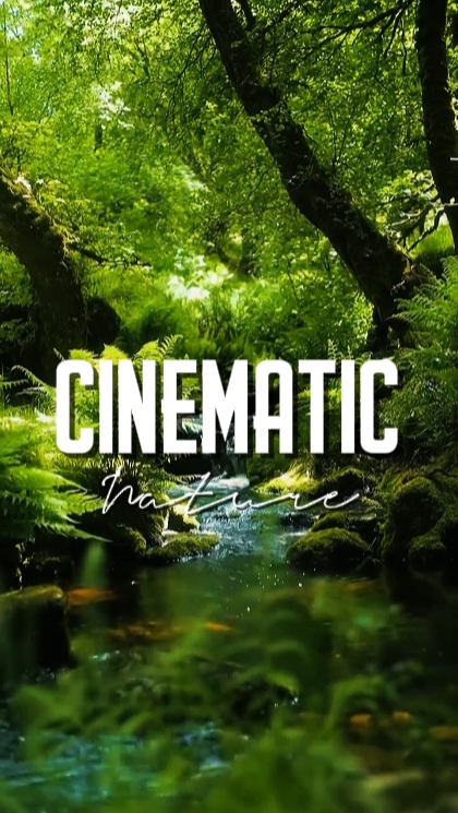 CINEMATIC NATURE 