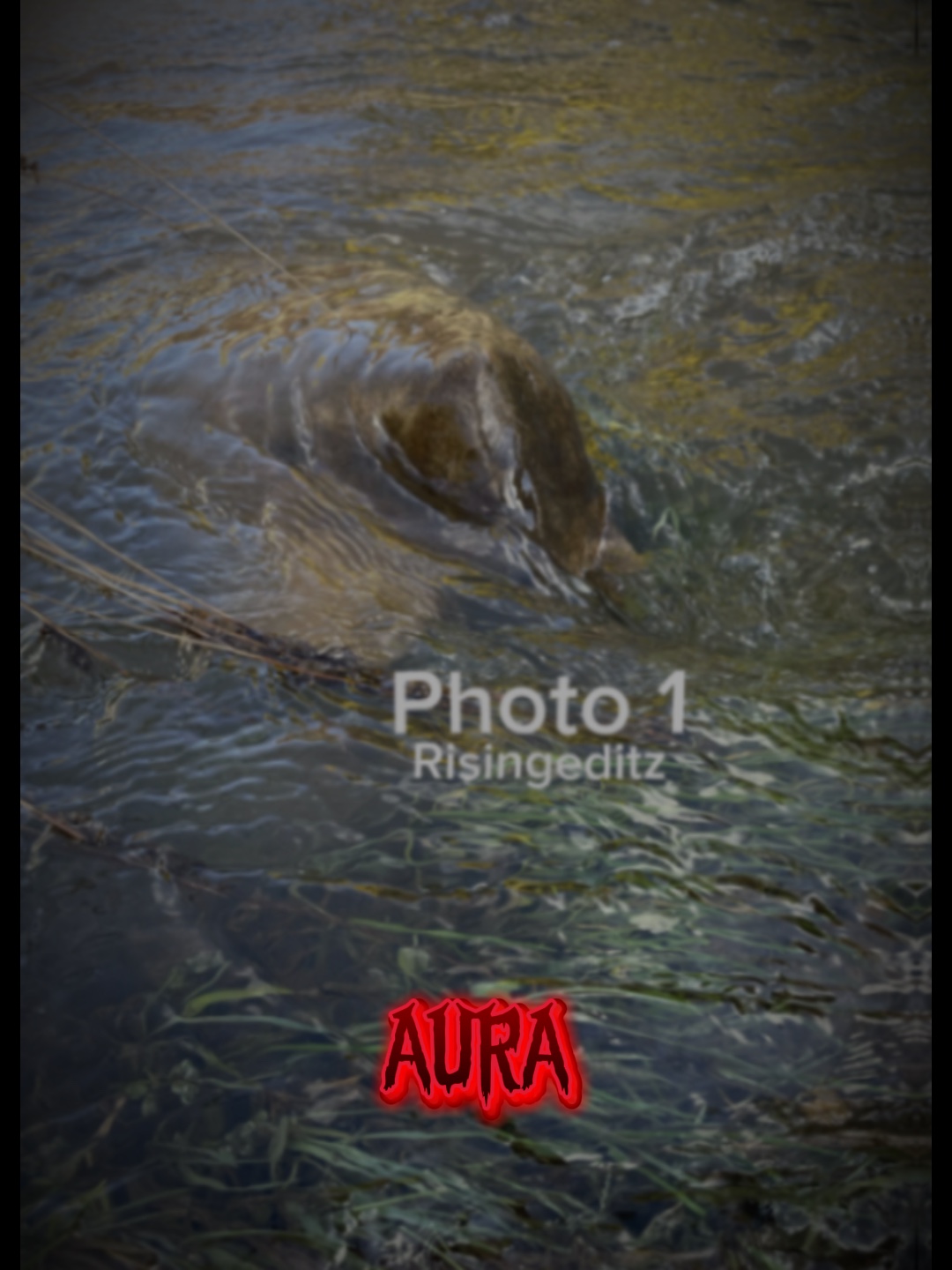 Aura (edit)