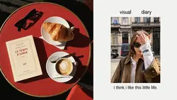 Visual Diary
