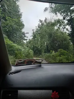 Driving in my car