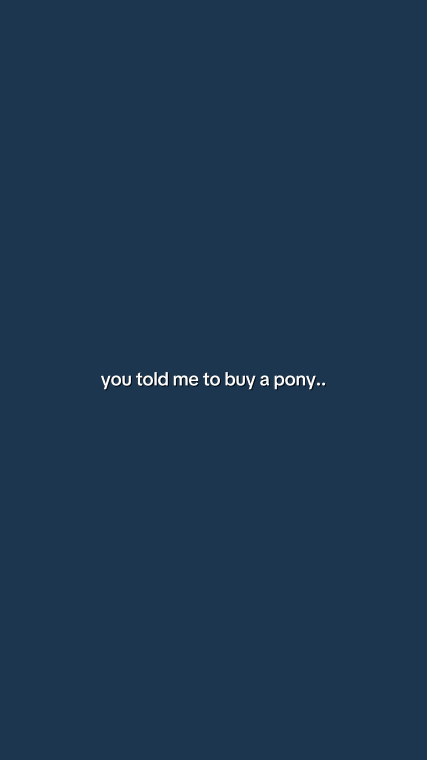 Youtoldmetobuyapony