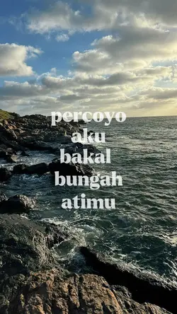 raiso ngapusi 2