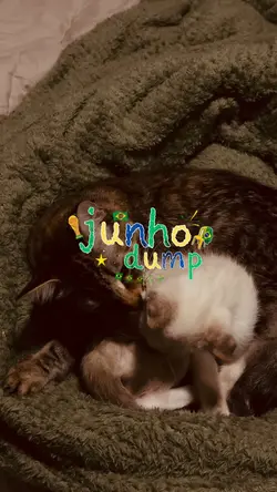 junho dumpp