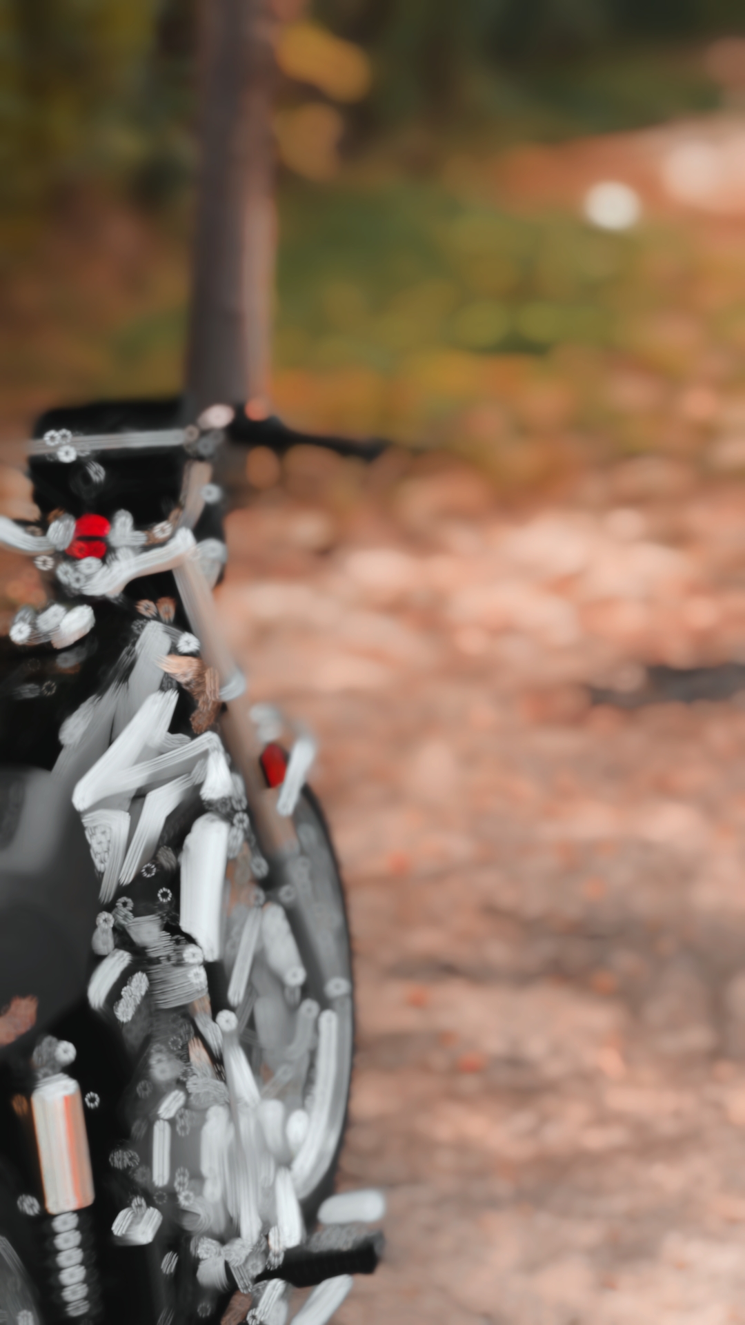 Cover Picture