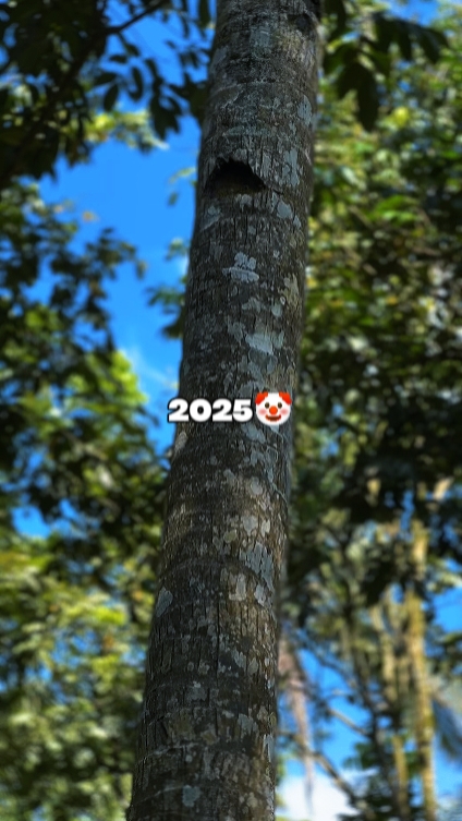 Transition 2025-2026