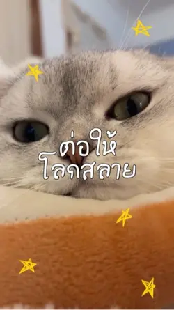เพลง ลูกอม 🍭4️⃣