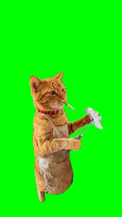 CAT REPAIRS DRAMA