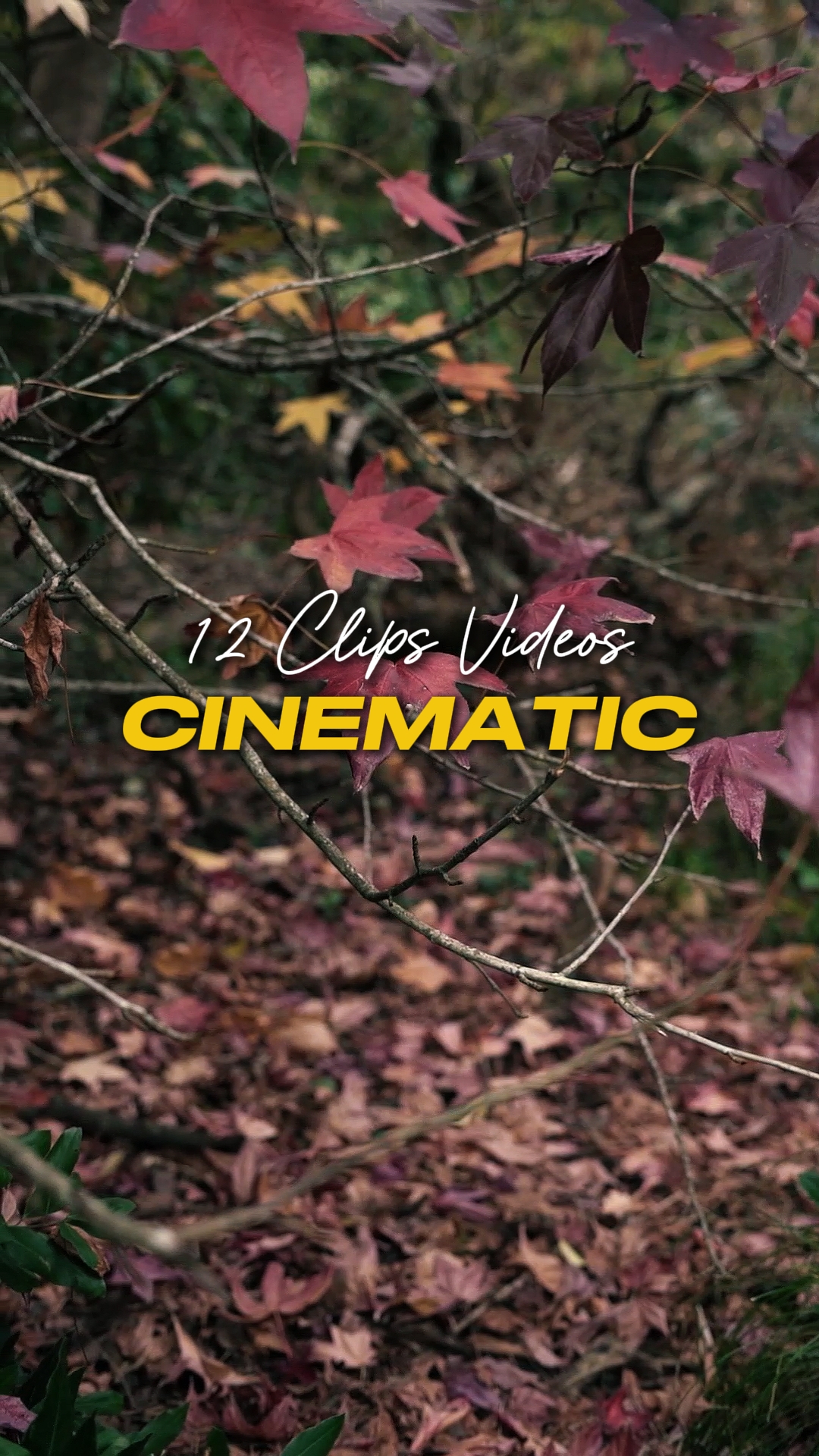 Cinematic 12 Videos