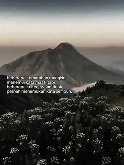 story wa sad
