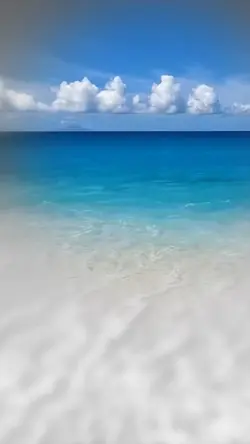 🌿BEYOND THE WAVES🌿