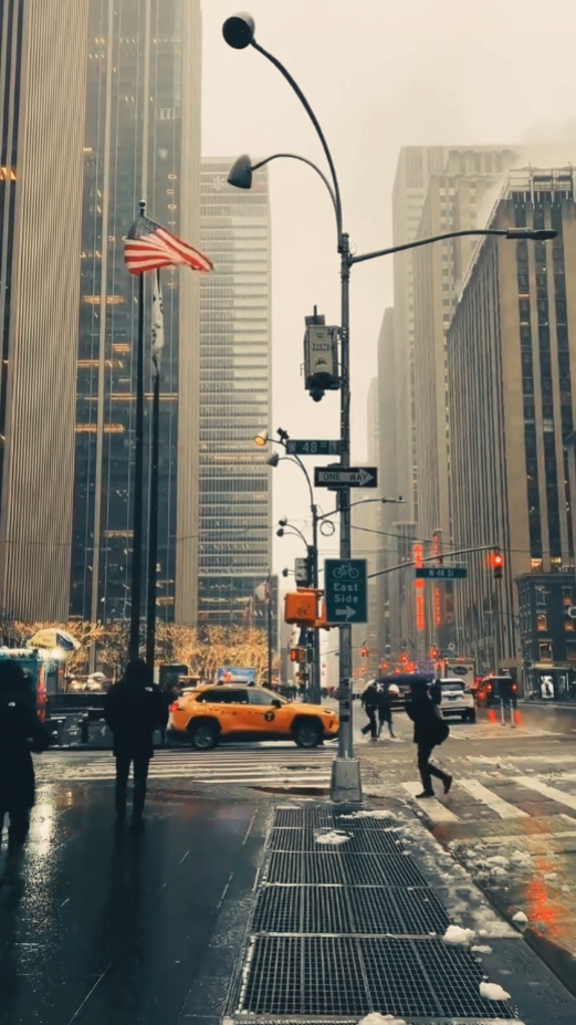 1 video + 4 foto 