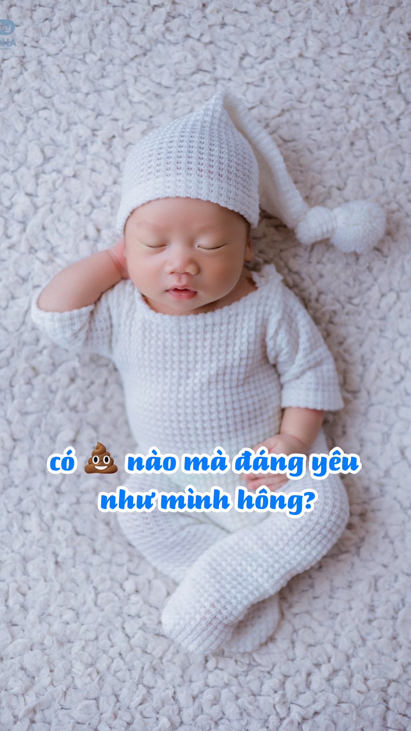 C￫ c 💩 đáng yêu 😅