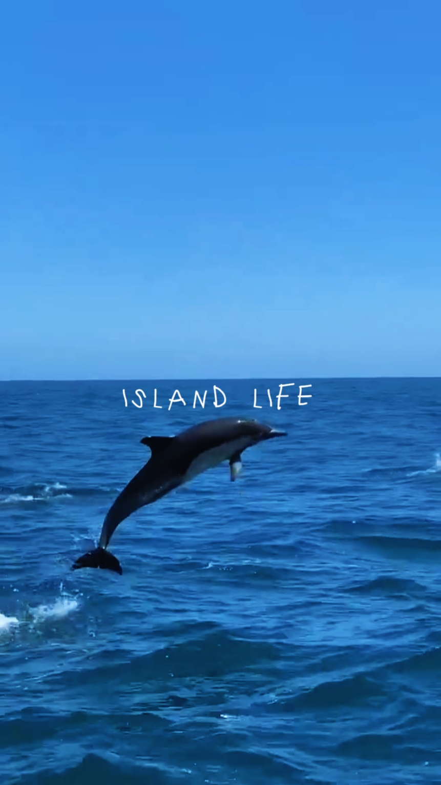 Island Life