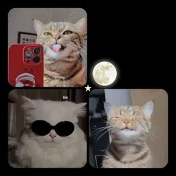 If your in the moon.