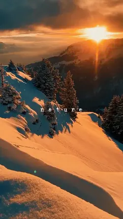 winter | nature