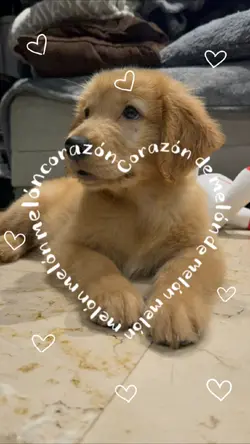 Corazón de melón 