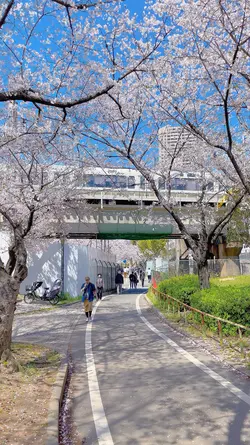 Japan🇯🇵