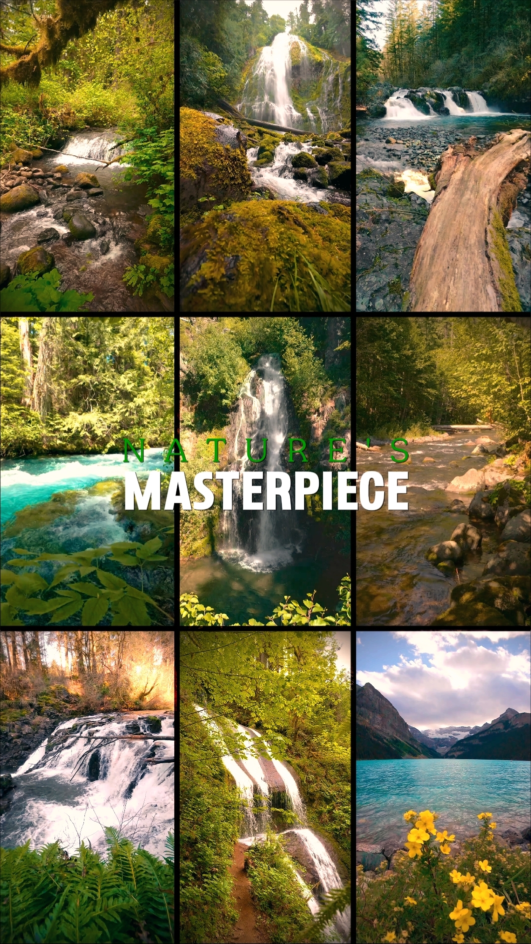 NATURE'S MASTERPIECE