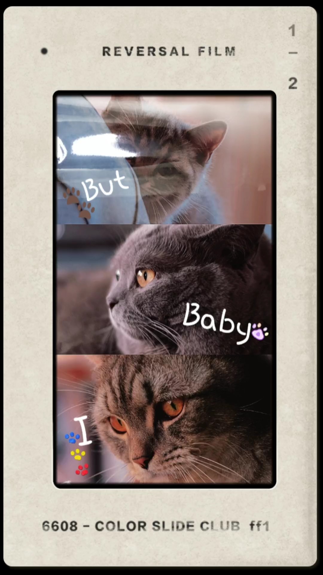 Pet memories