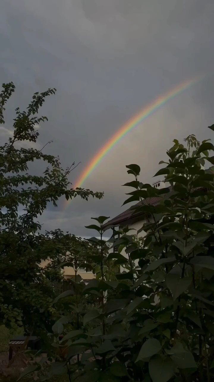 Rainbow