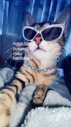 JJ 3 KLIP KECE CUY